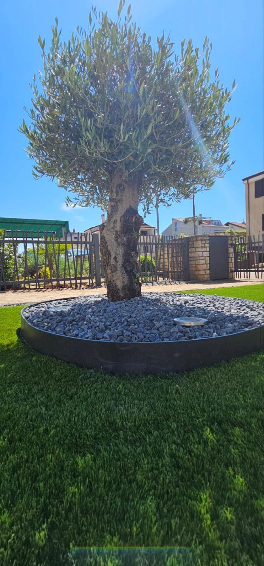 Kadenca Apartman Umag Szoba fotó