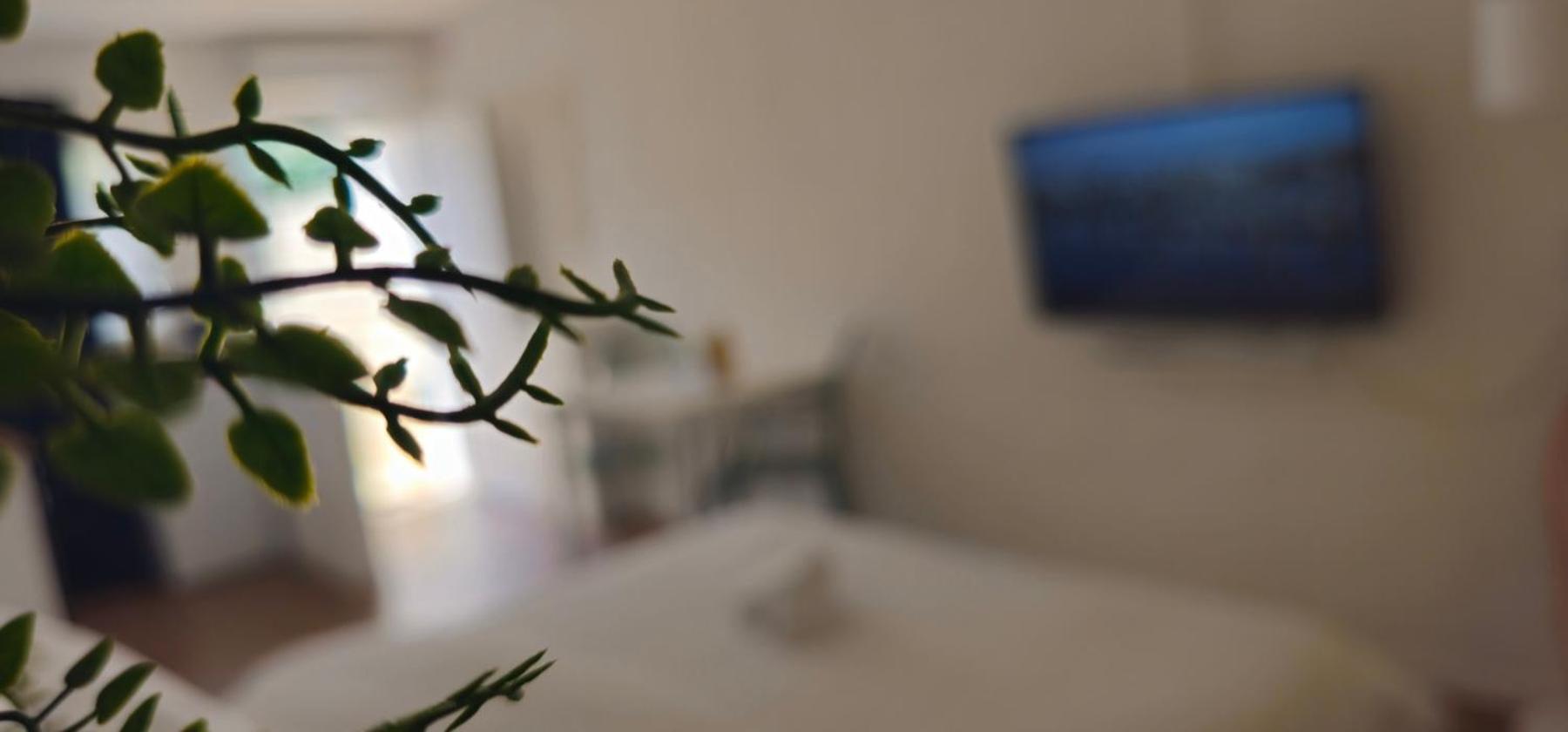 Kadenca Apartman Umag Szoba fotó