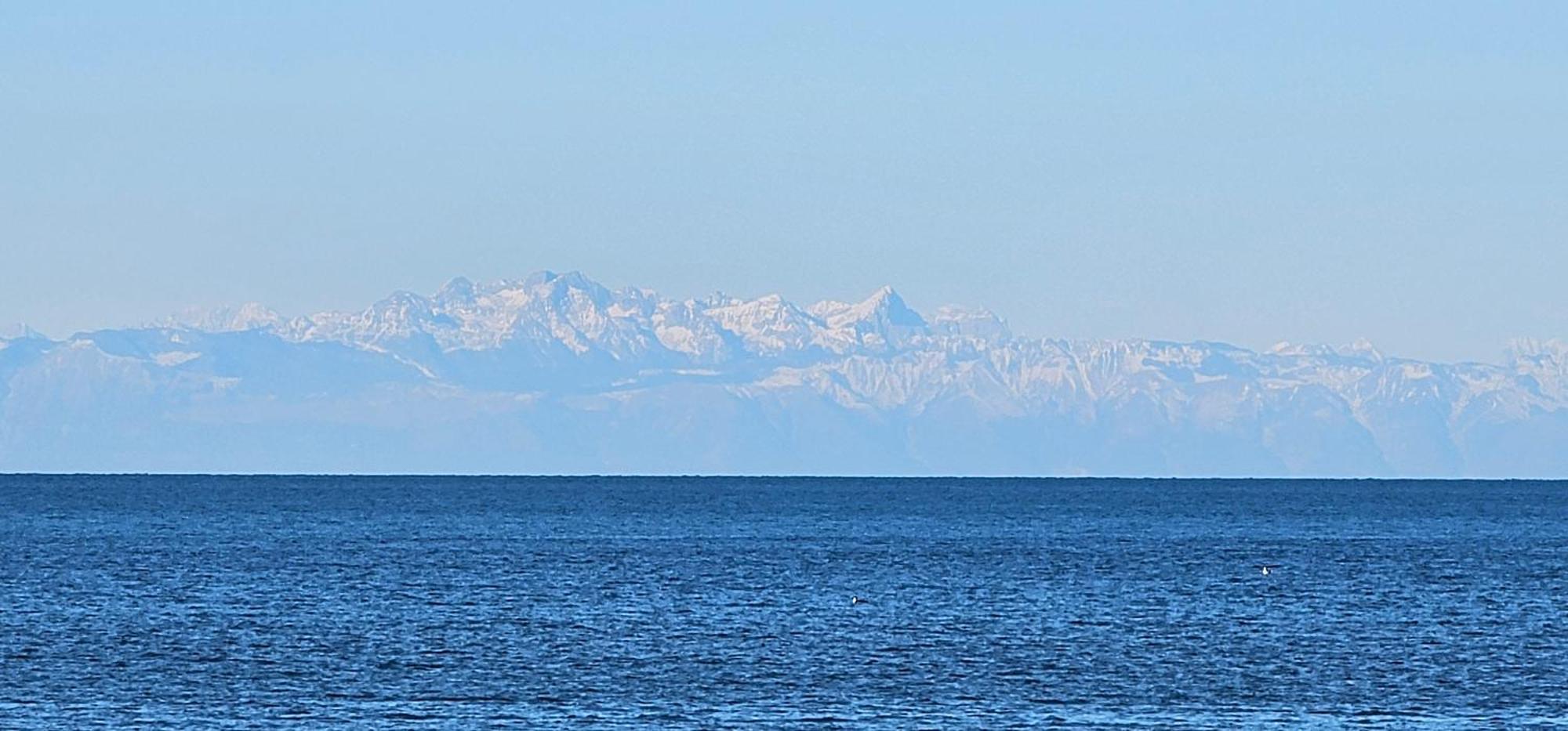 Kadenca Apartman Umag Kültér fotó